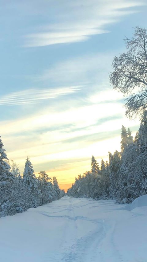 Greenland, MI winter photo 2 by Shawn Stevener